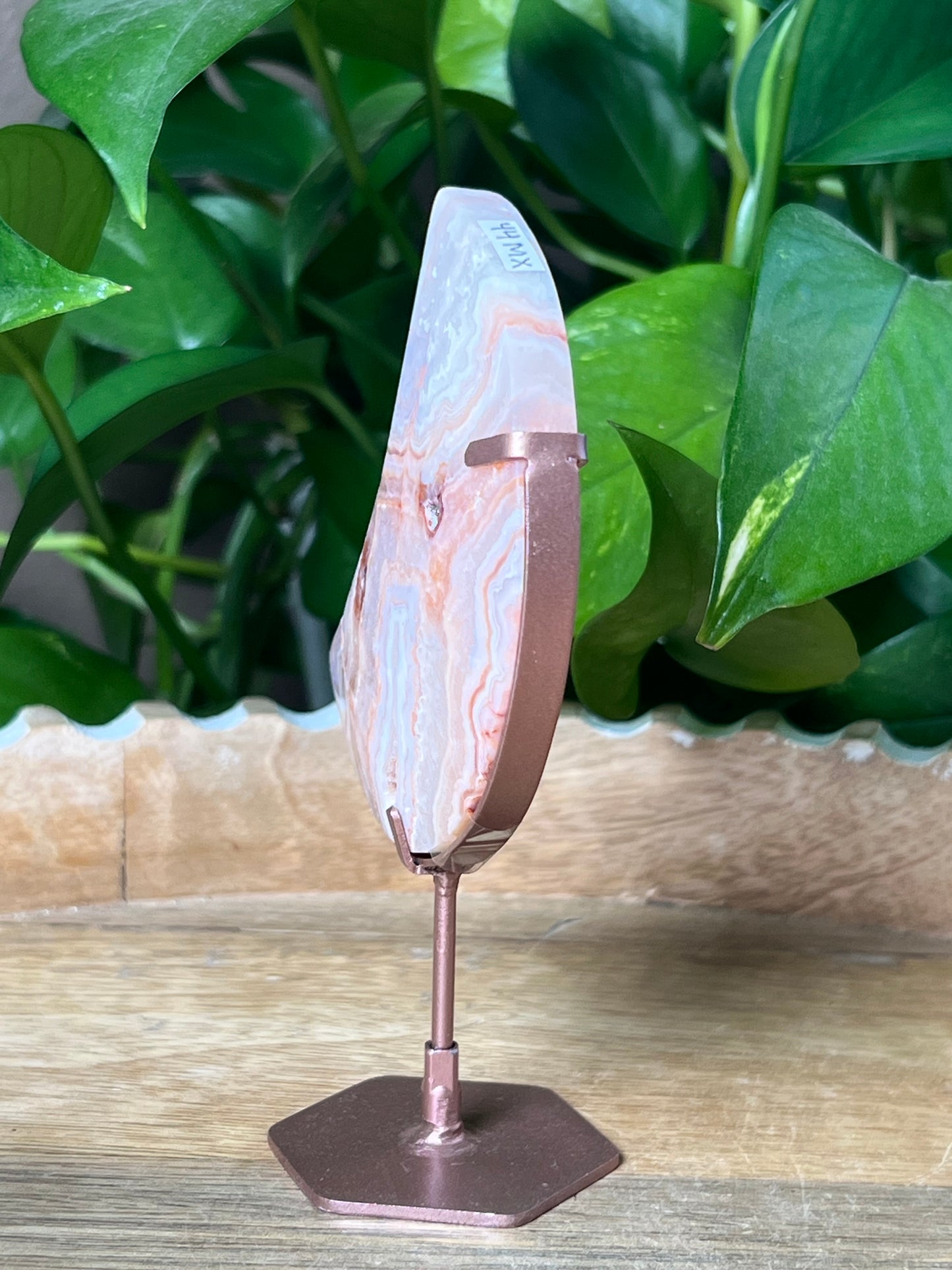 Crazy Lace Agate Moon