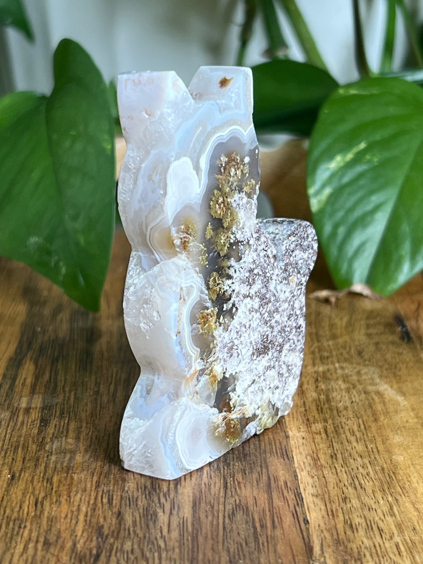 Scenic Moss Agate Cat HN