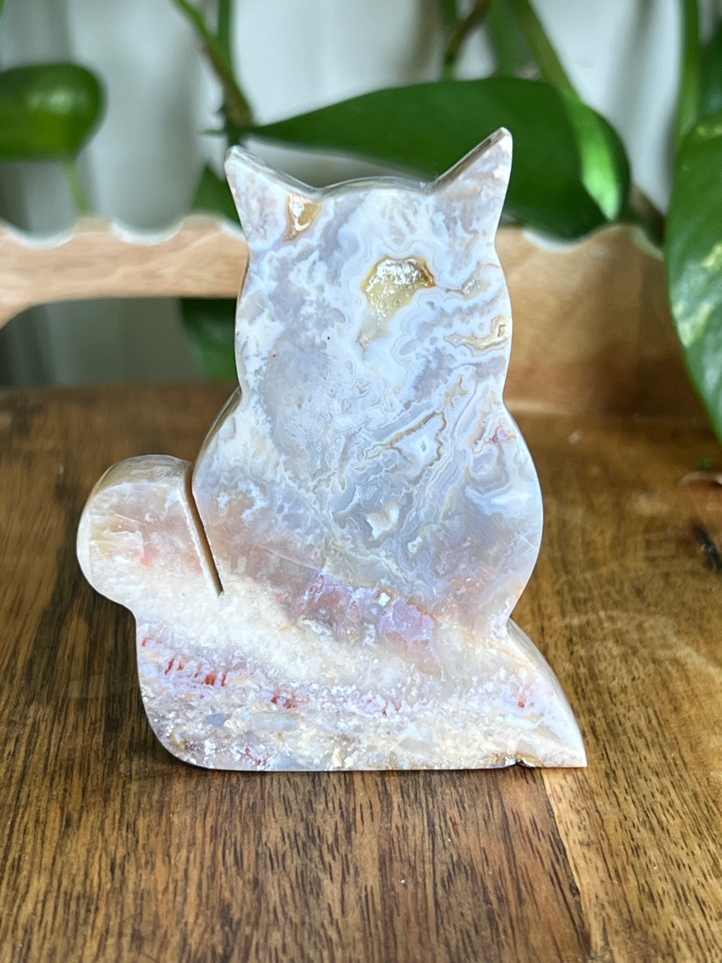 Sumatra Agate Cat EE