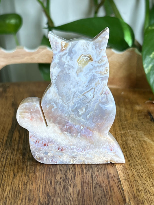 Sumatra Agate Cat EE