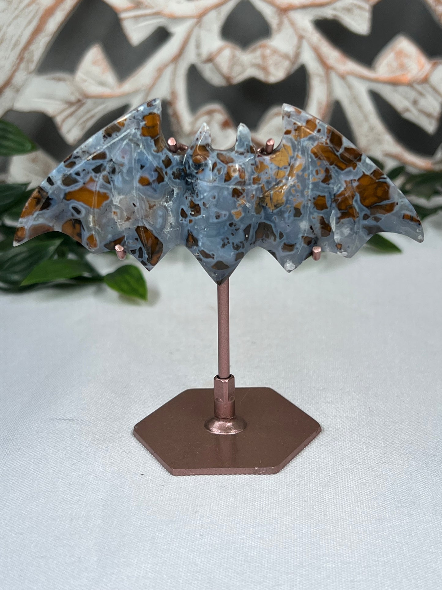 Indonesian Cotton Candy Bat