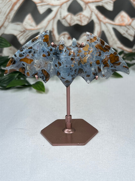 Indonesian Cotton Candy Bat