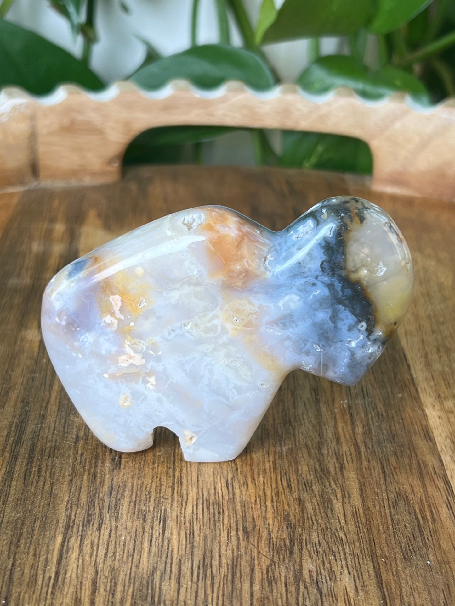 Rainbow Plume Agate Buffalo