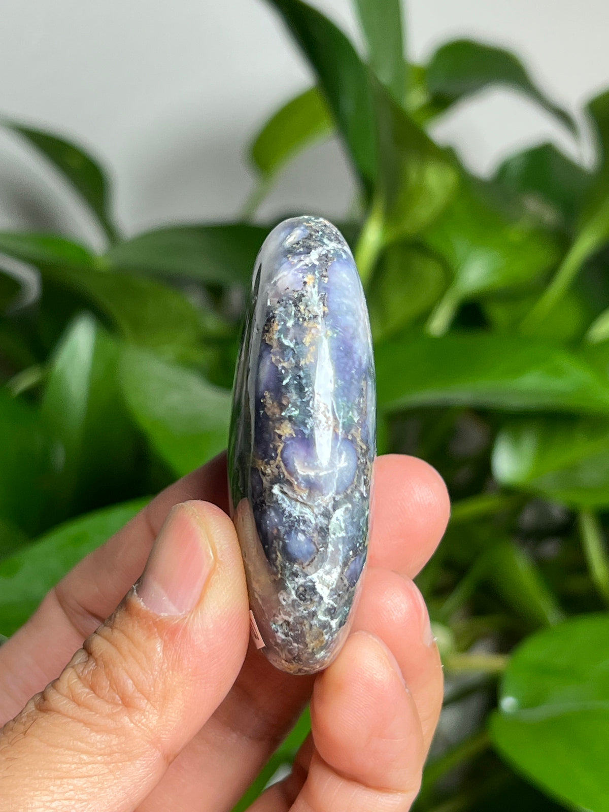 Grape Agate Palmstone: PW