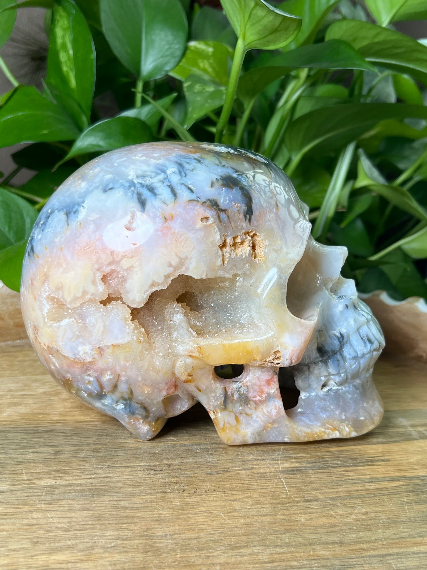 Rainbow Plume Agate Skull