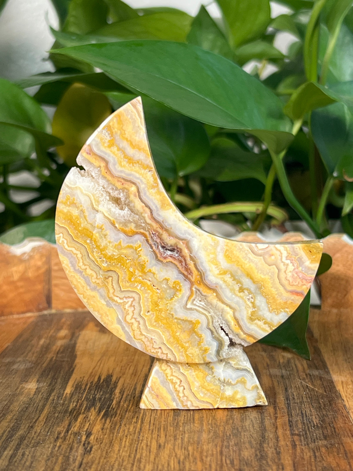 Yellow Crazy Lace Agate Self Standing Moons