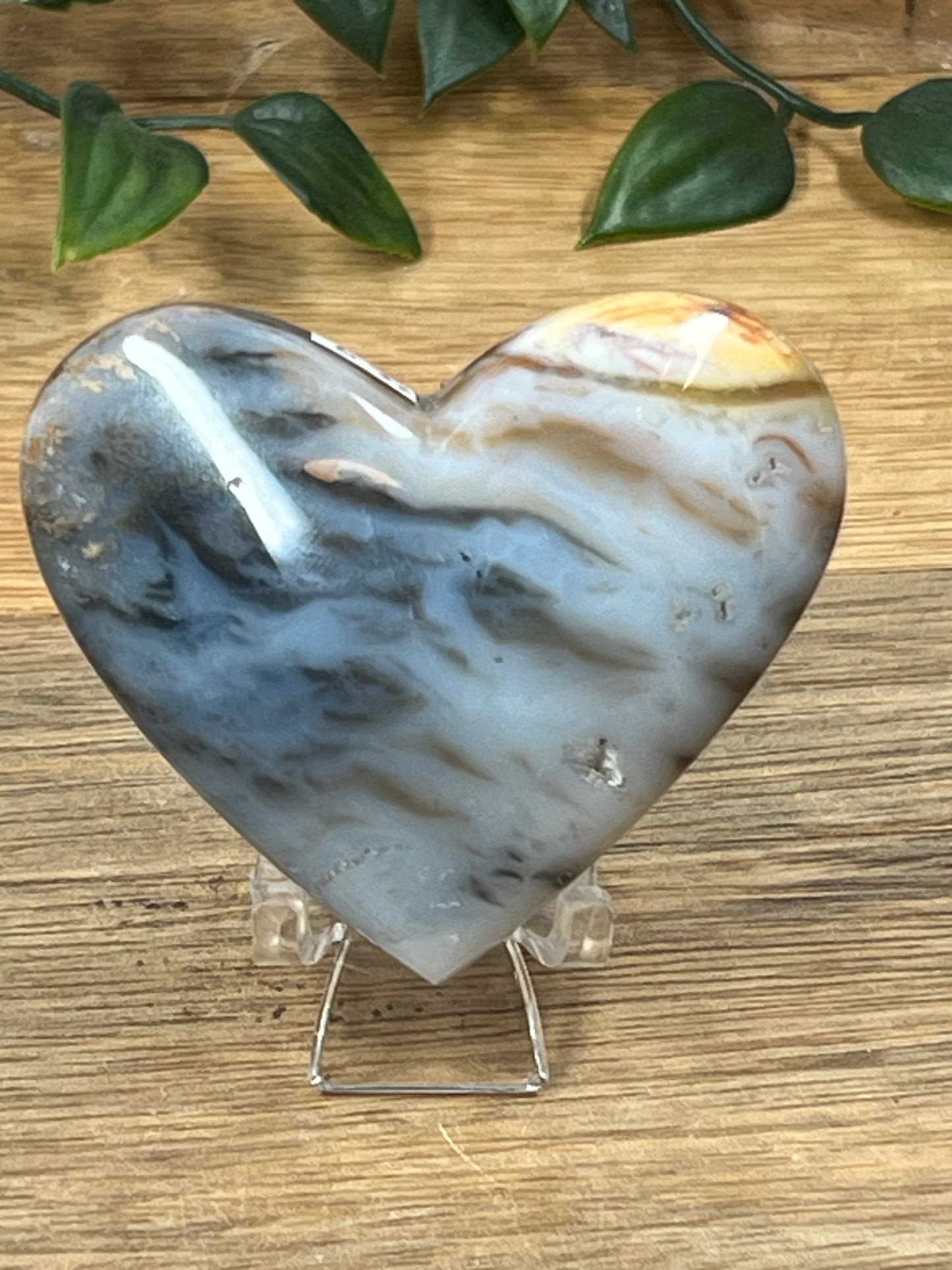Dendritic Tiger Agate Heart
