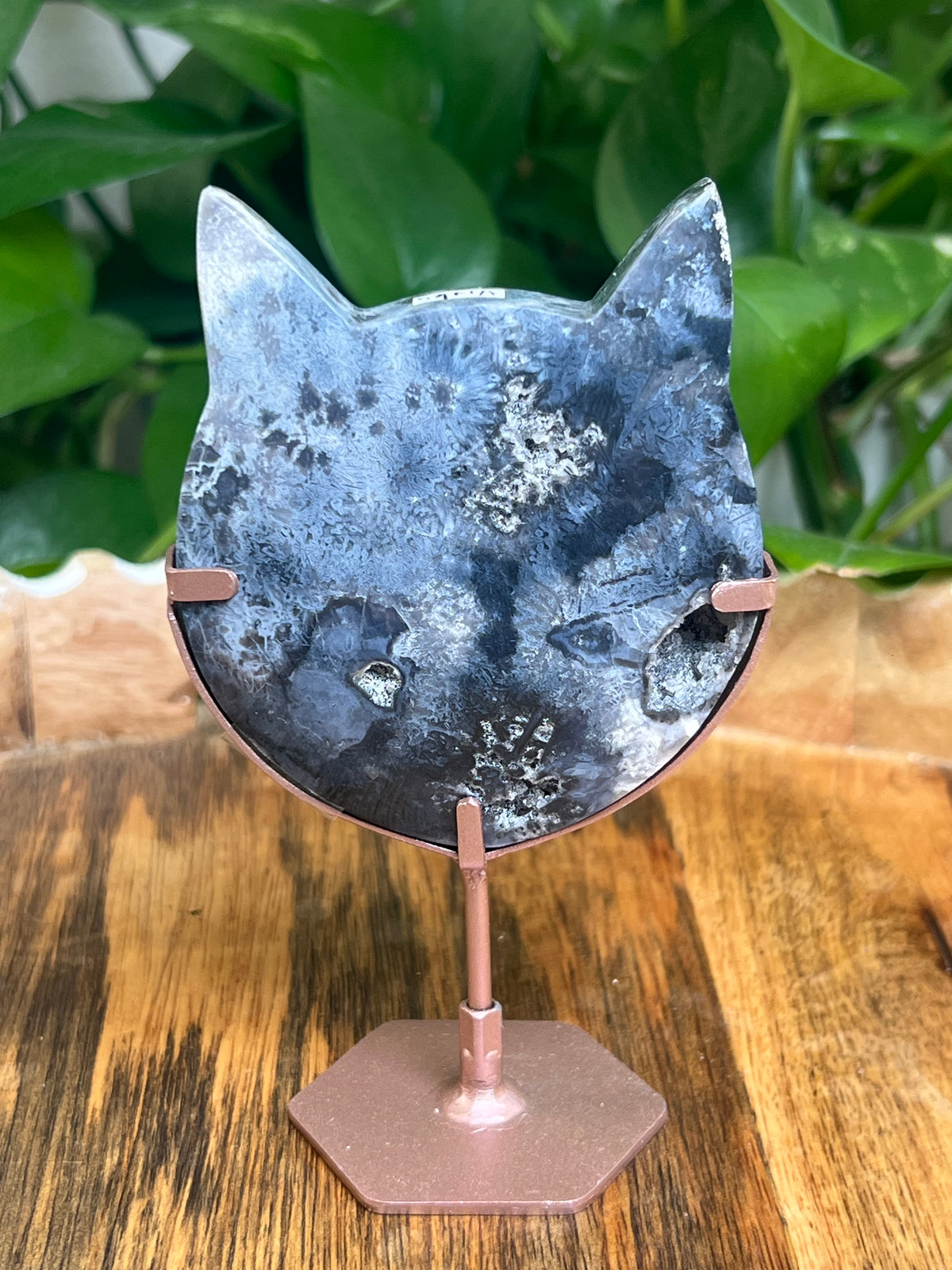 Blue Plume Agate Cat Head: NA