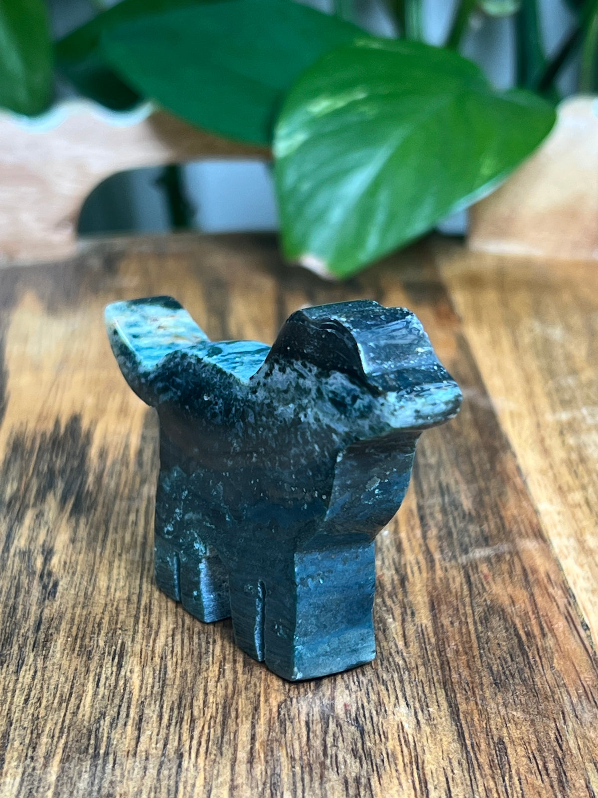 Blue Green Jasper Dog: BC