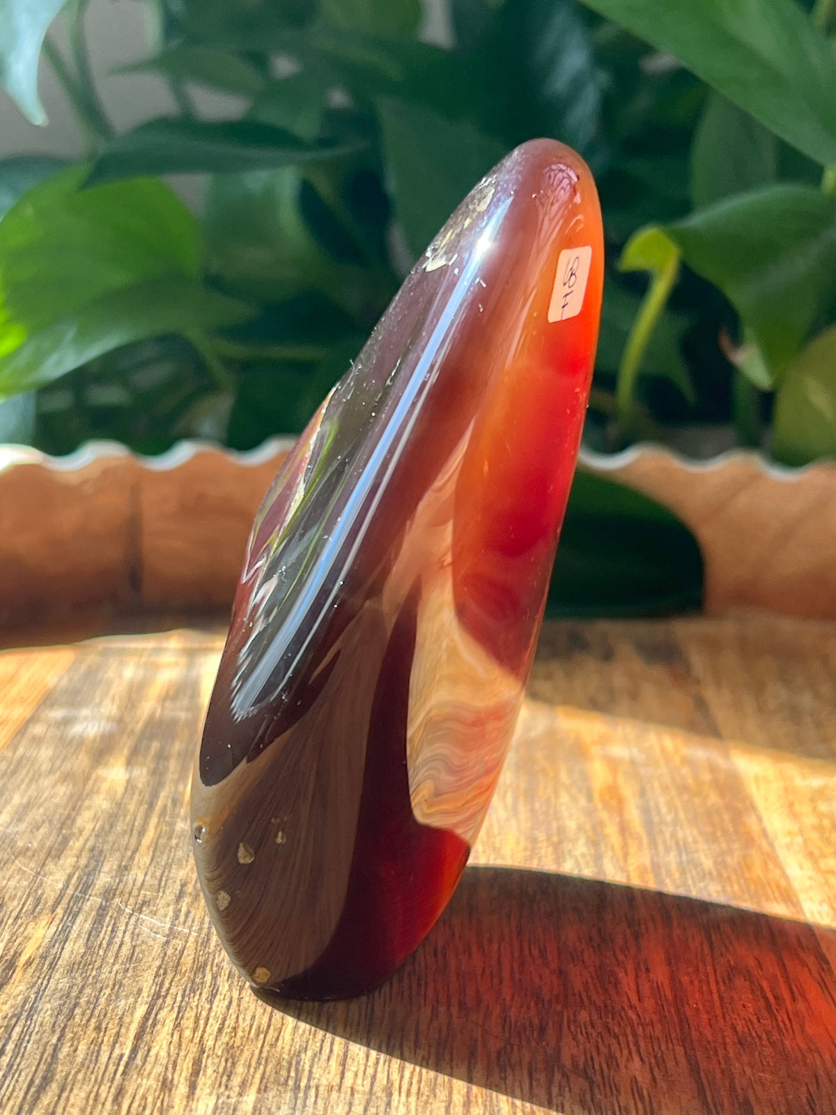Blue Amber Freeform: F