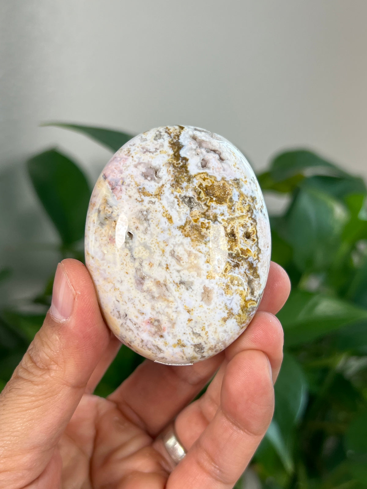 Sea Jasper Palmstones