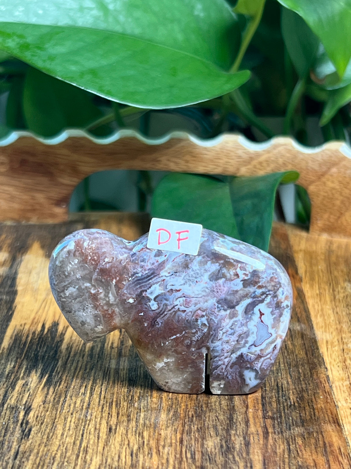 Sumatra Plume Agate Mini Buffalos