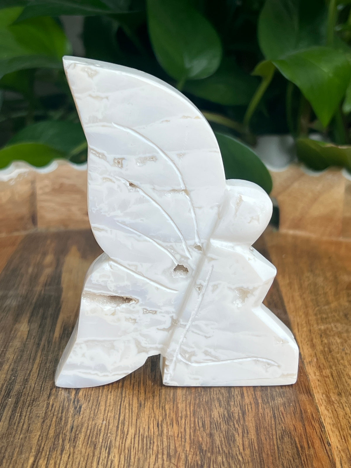 White Plume Agate Fairy: VE
