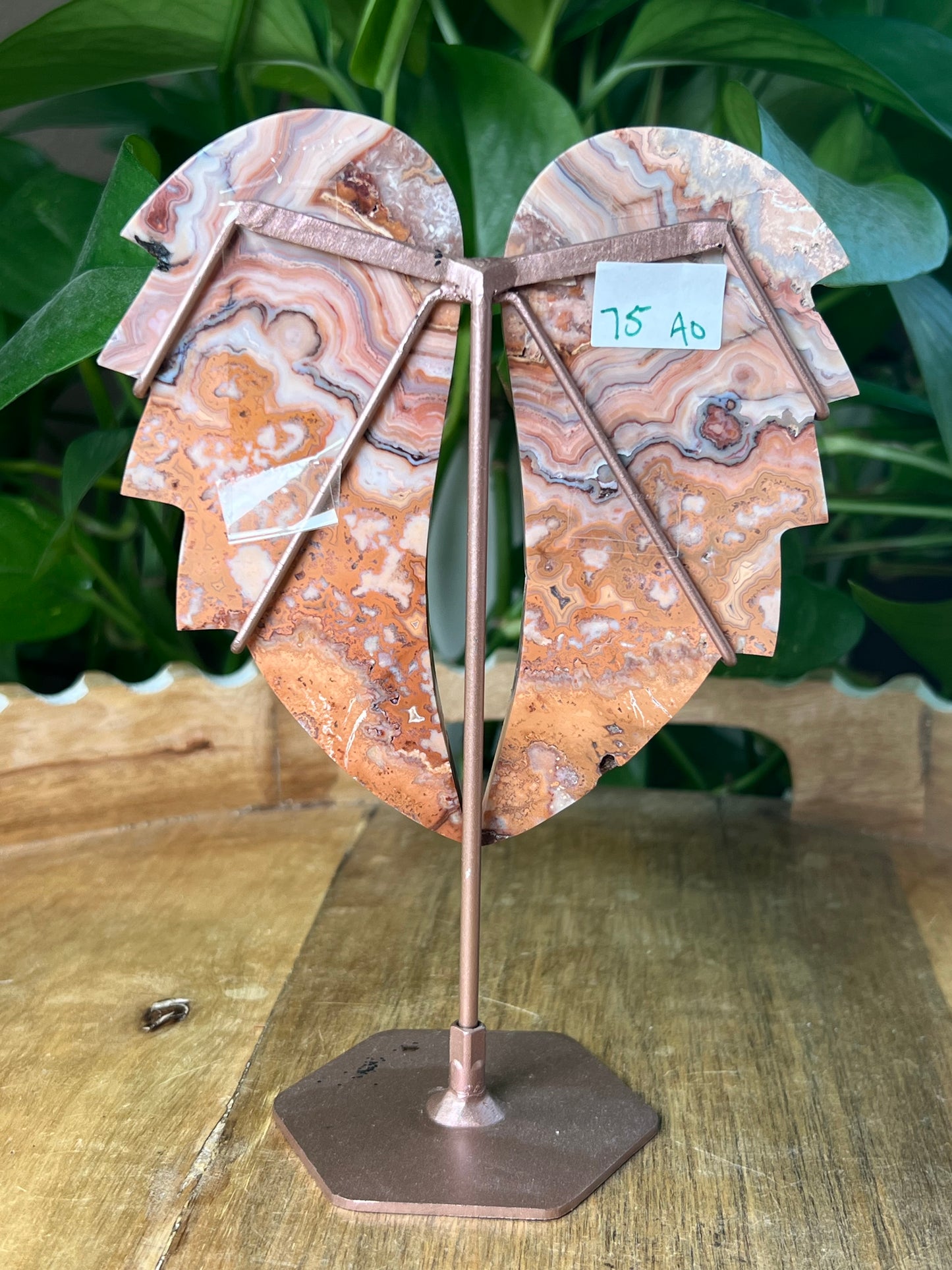 Crazy Lace Agate Wings