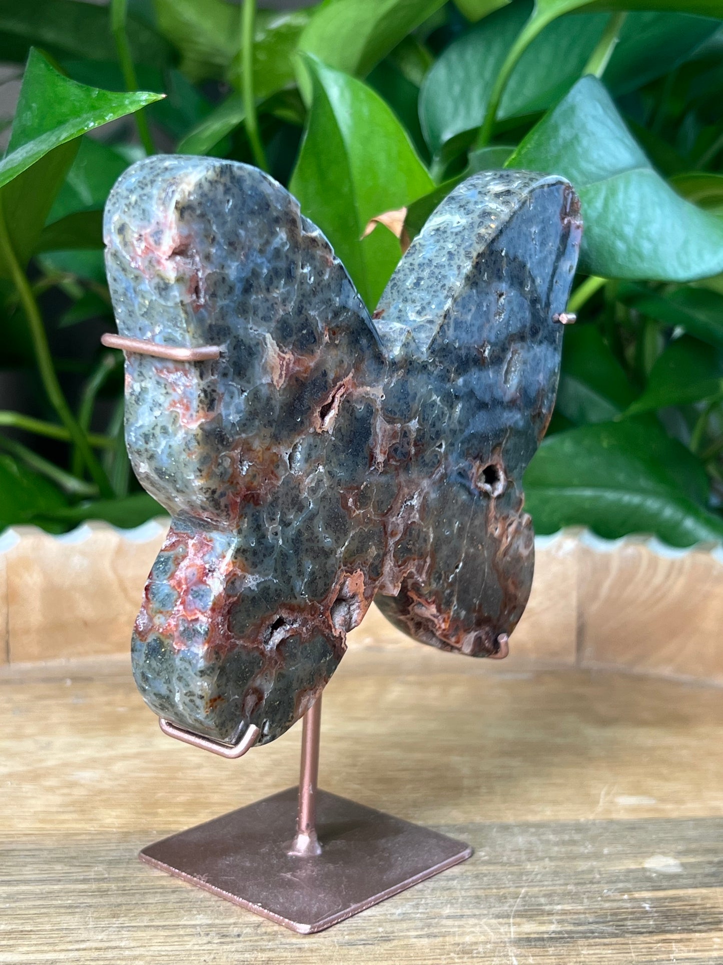 Marcasite Butterfly
