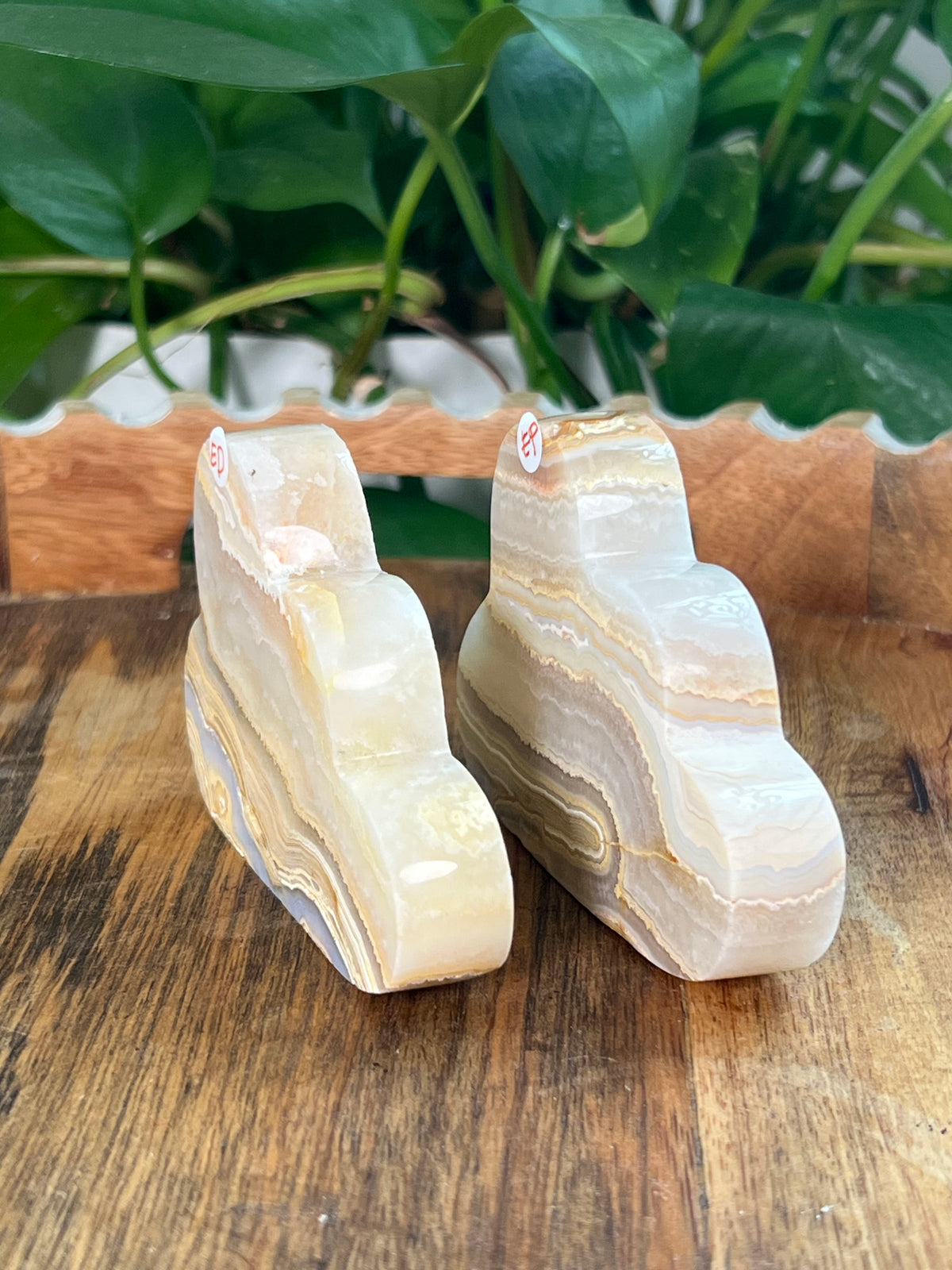 Crazy Lace Agate Clouds