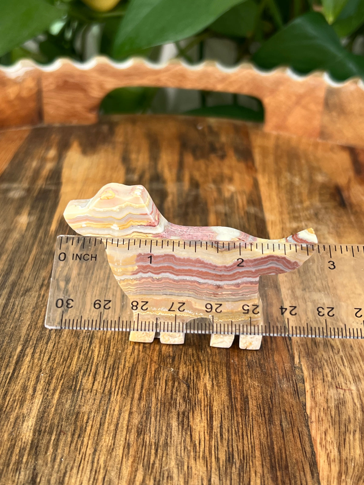 Crazy Lace Agate Dogs