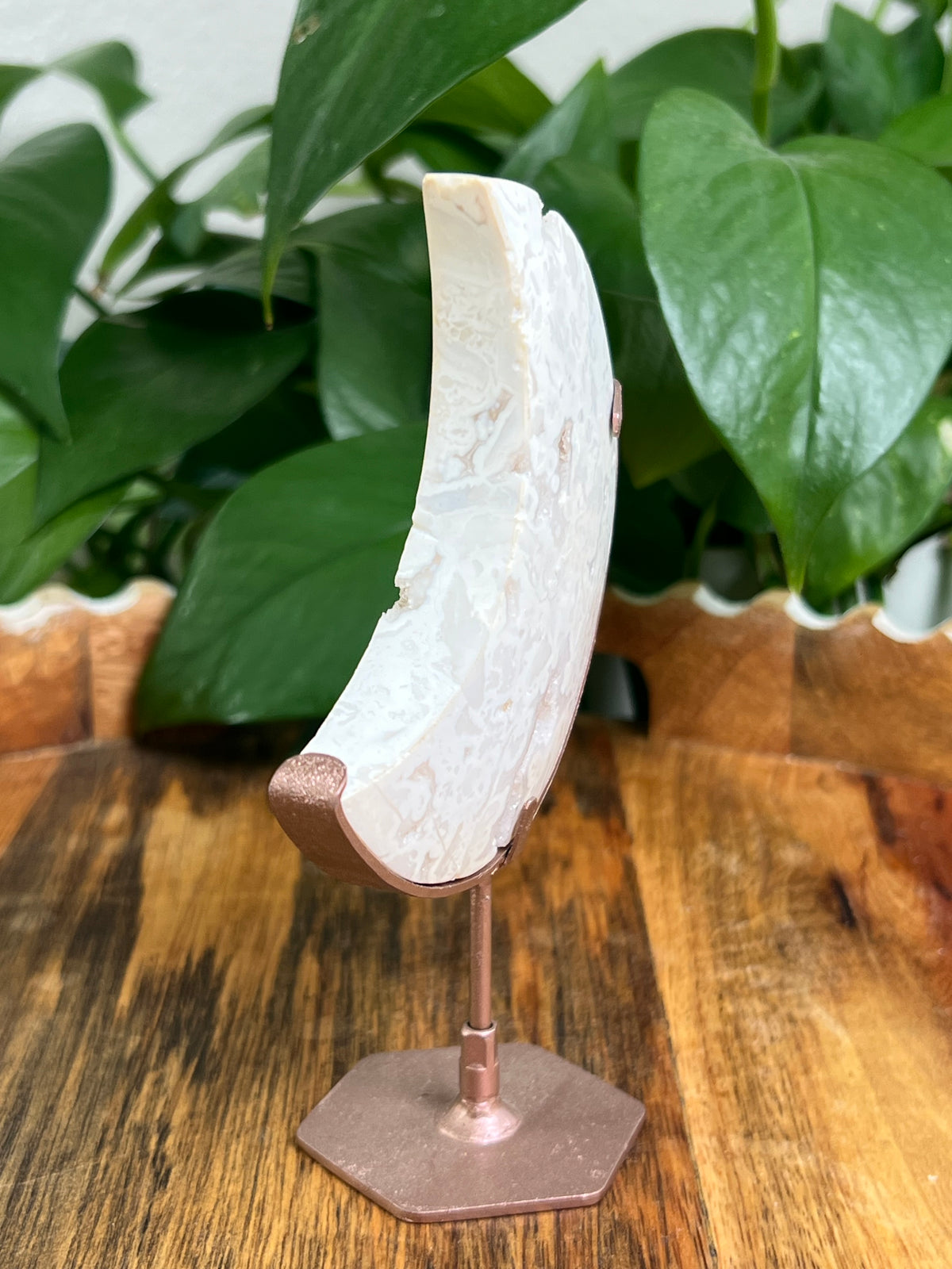 White Plume Agate Moon: C