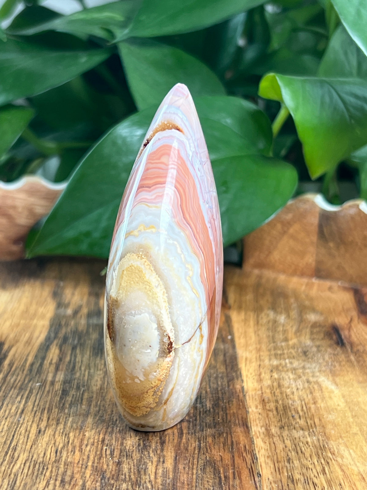 Crazy Lace Agate Flame: EB