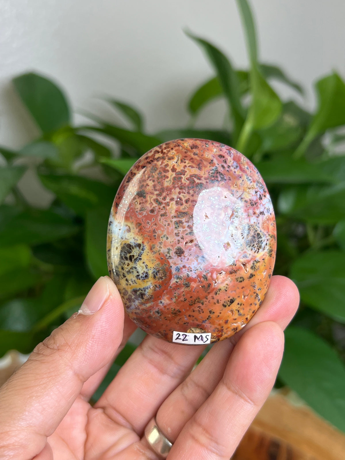 Marcasite Palmstone: MS