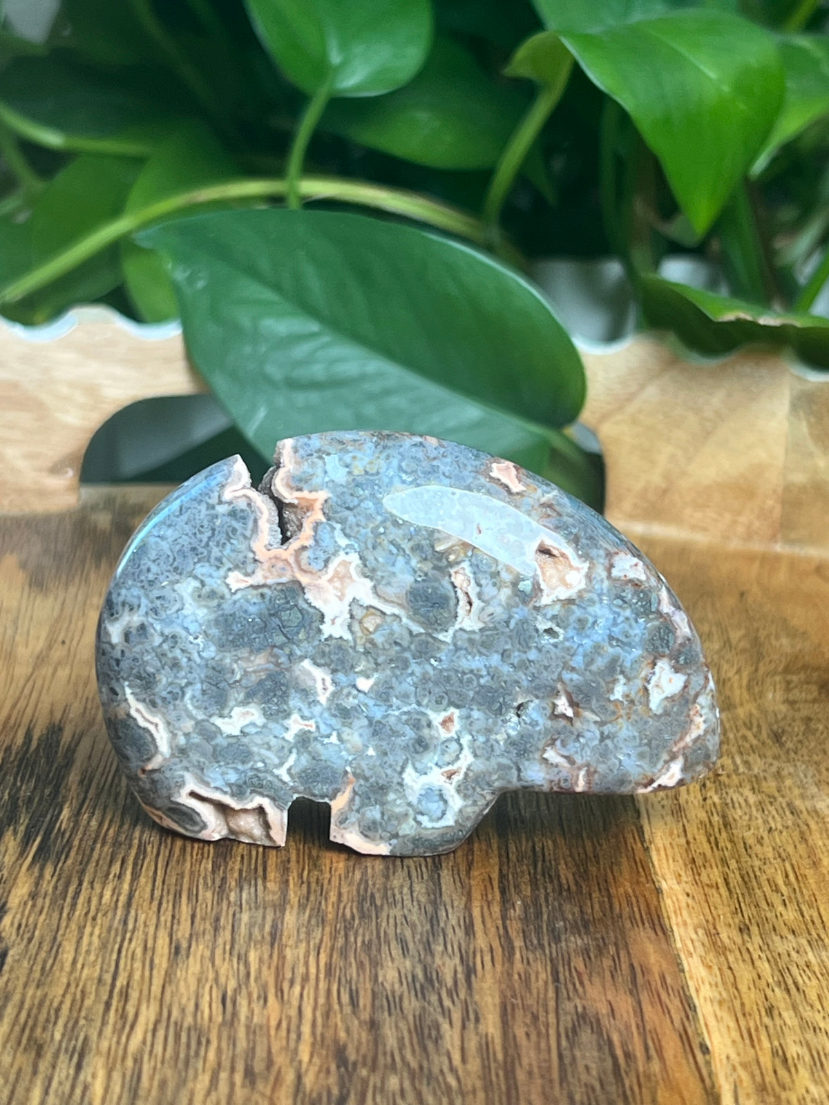 Marcasite Bear: TB