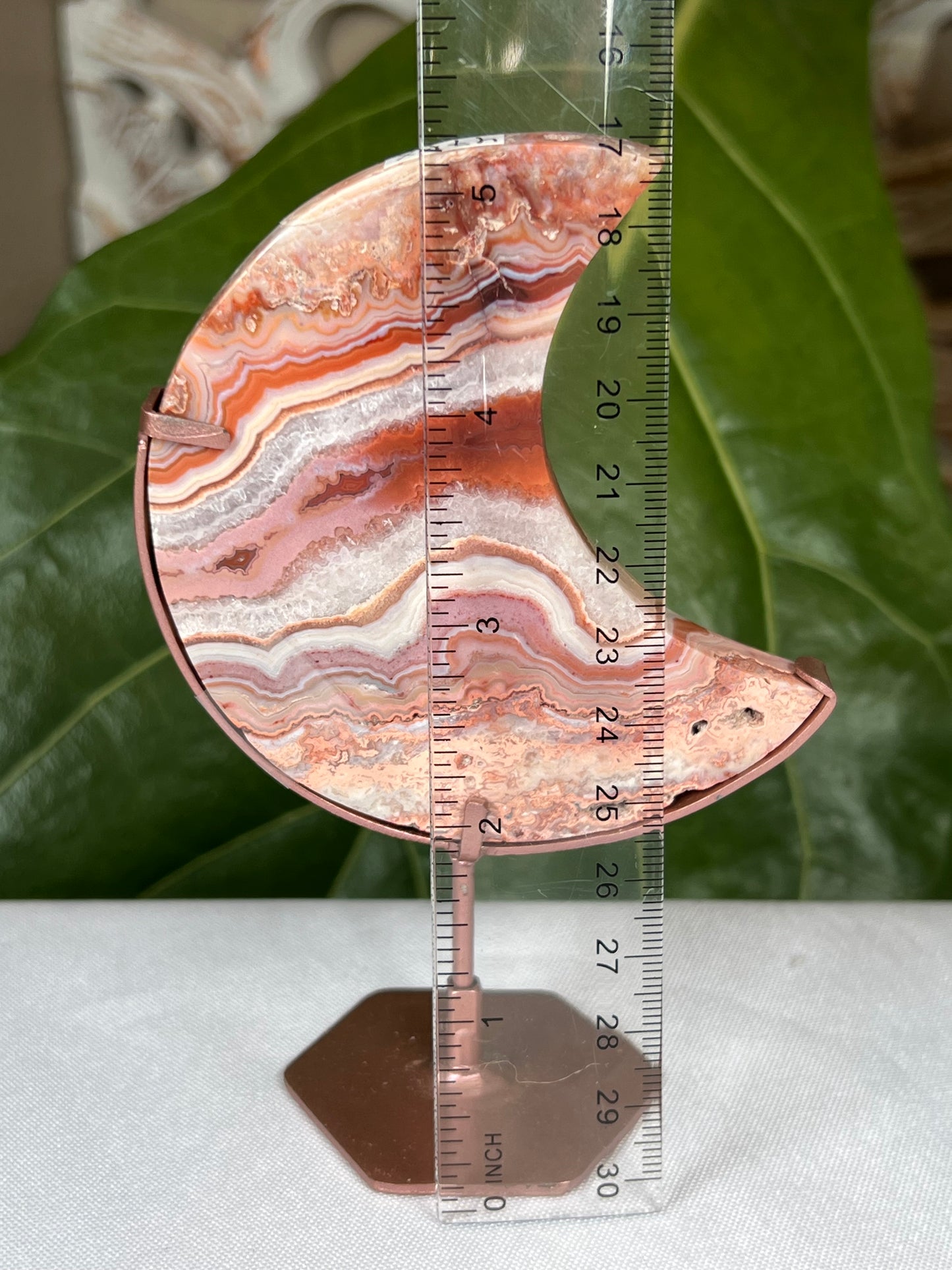 Crazy Lace Agate Moon