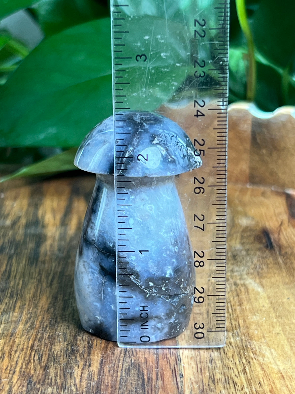 Blue Plume Agate Mushroom: EK