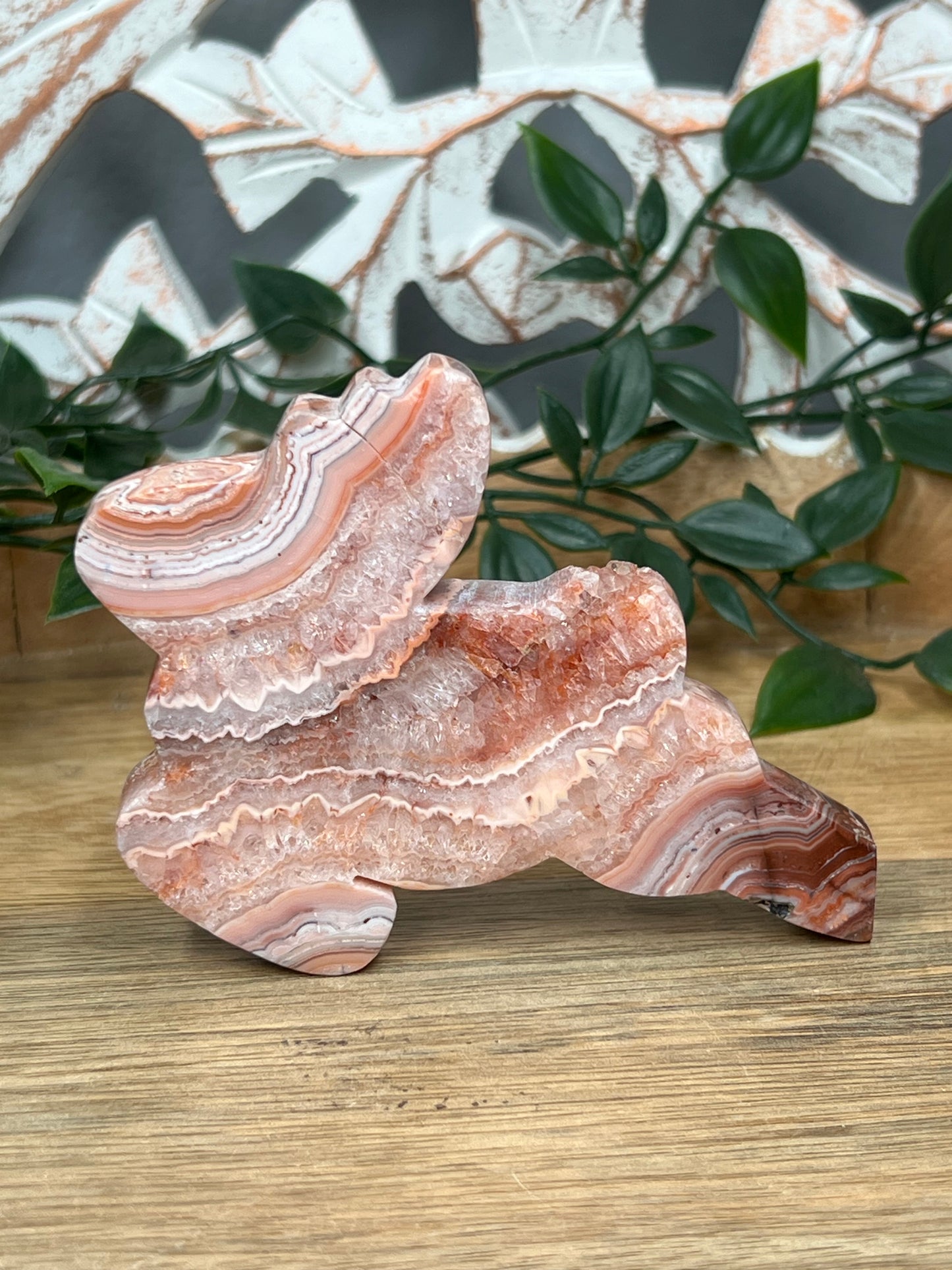 Pink Crazy Lace Agate Deer