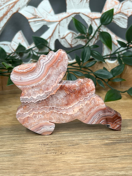 Pink Crazy Lace Agate Deer