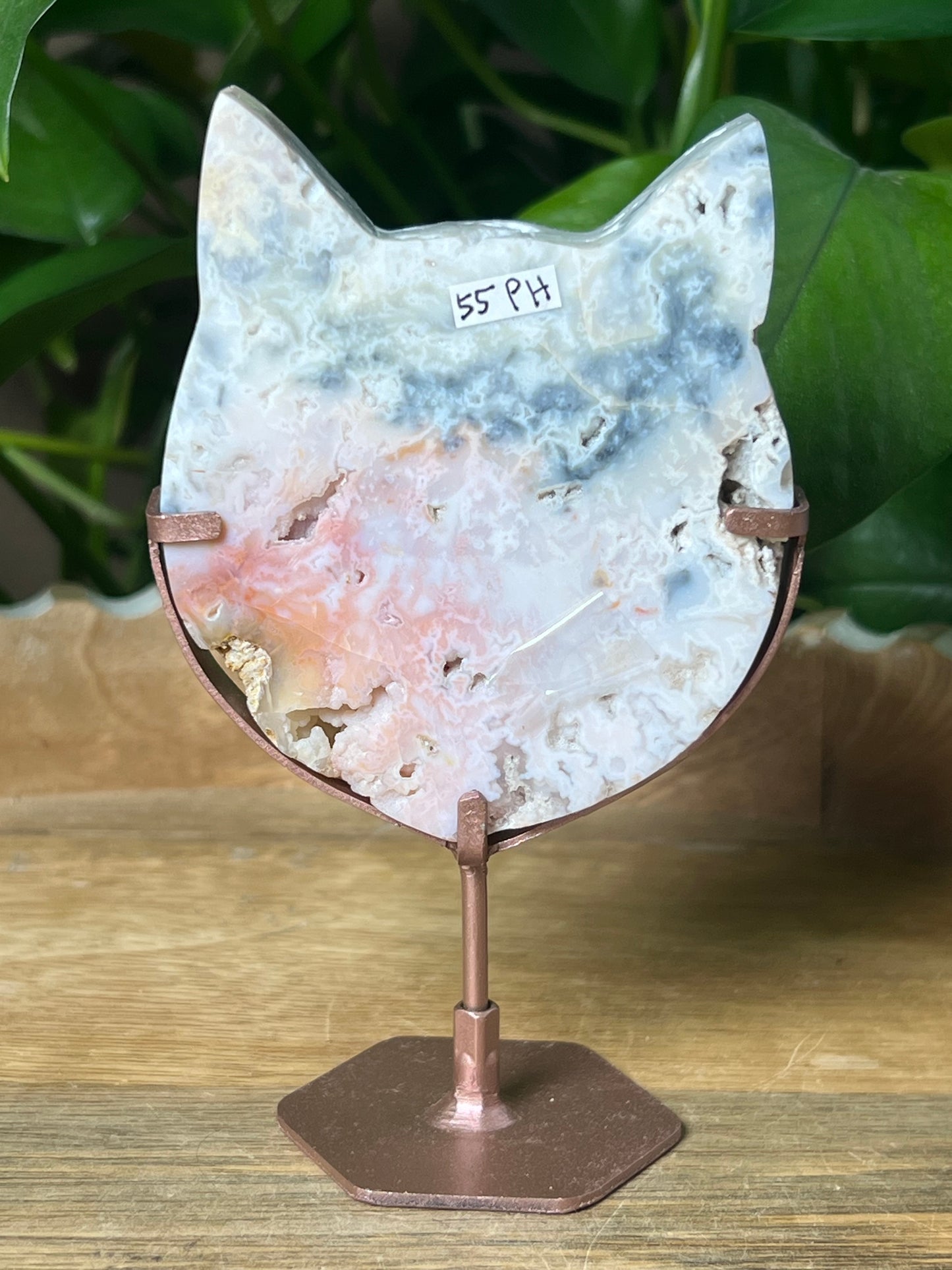Rainbow Plume Agate Cat Head