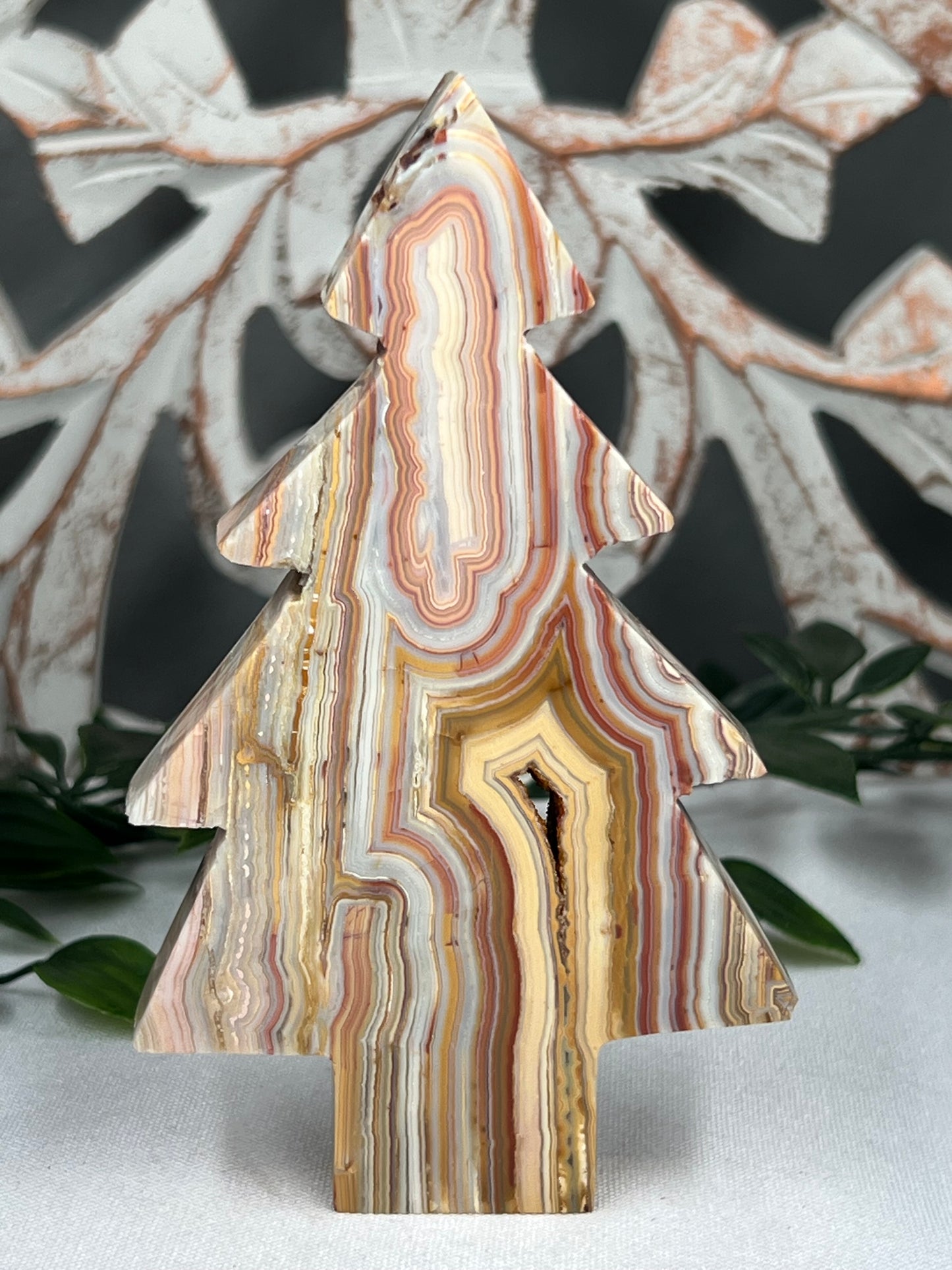 Crazy Lace Agate Tree