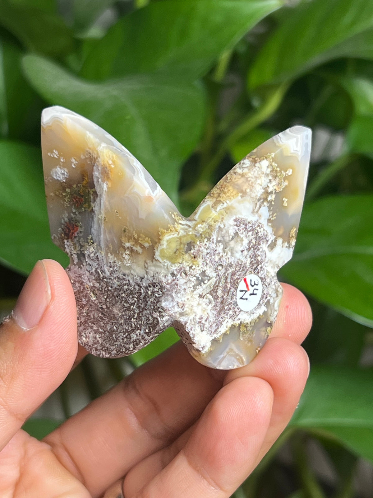Scenic Moss Agate 3D Butterfly: N