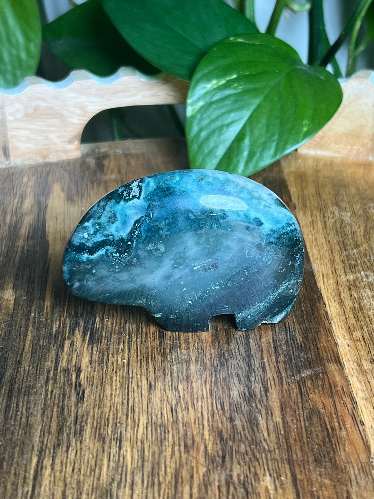 Blue Green Jasper Bear: K