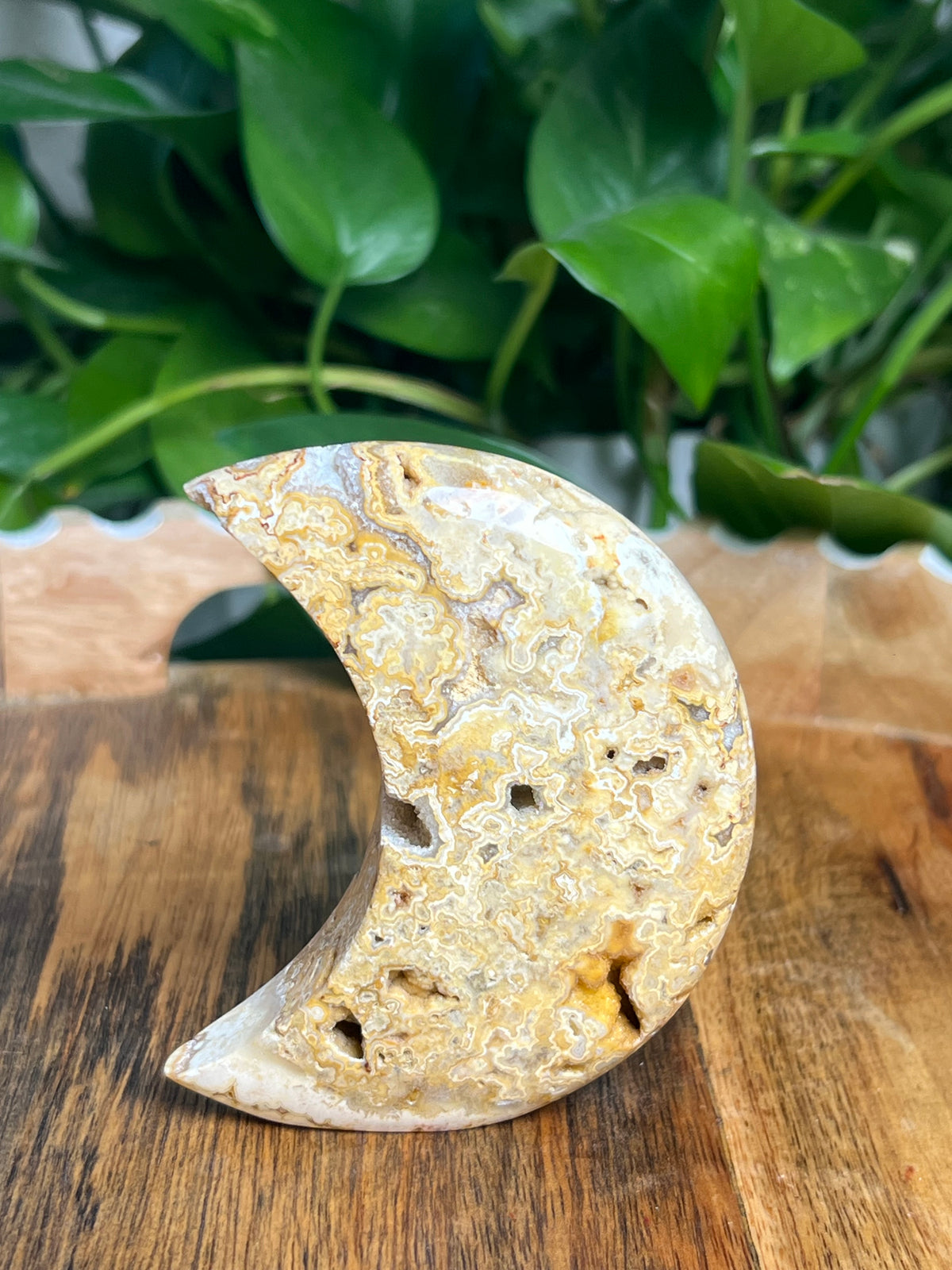 Crazy Lace Agate Self Standing Moon: CC