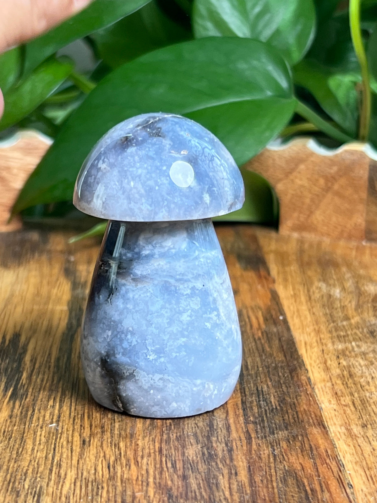 Blue Plume Agate Mushroom: CF
