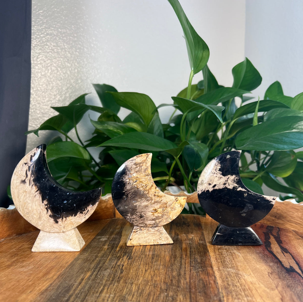 Palm Root Self Standing Moons