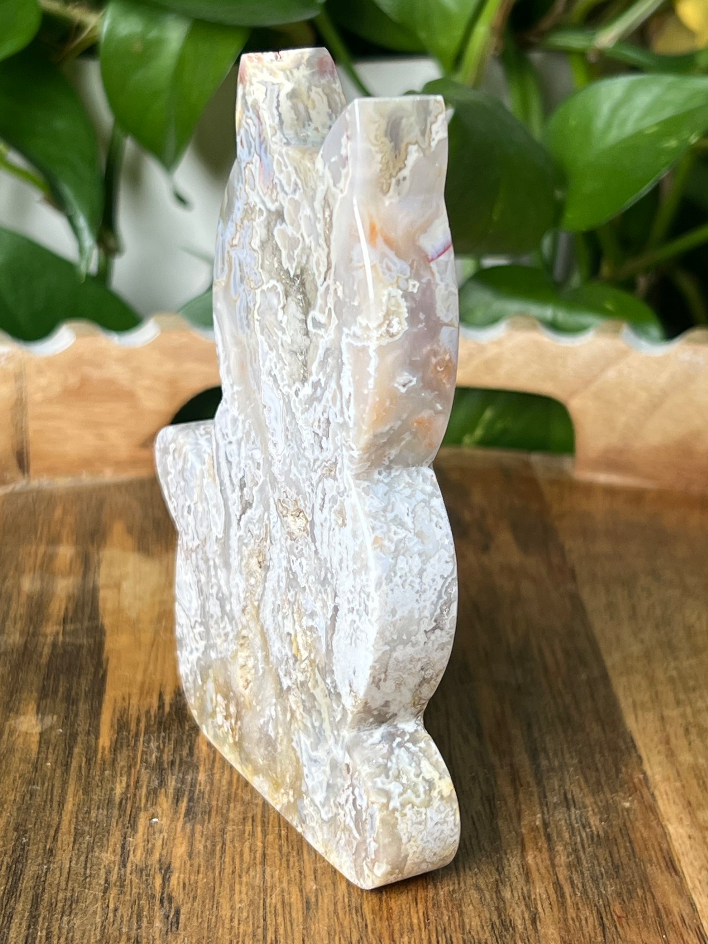 Sumatra Plume Agate Cat