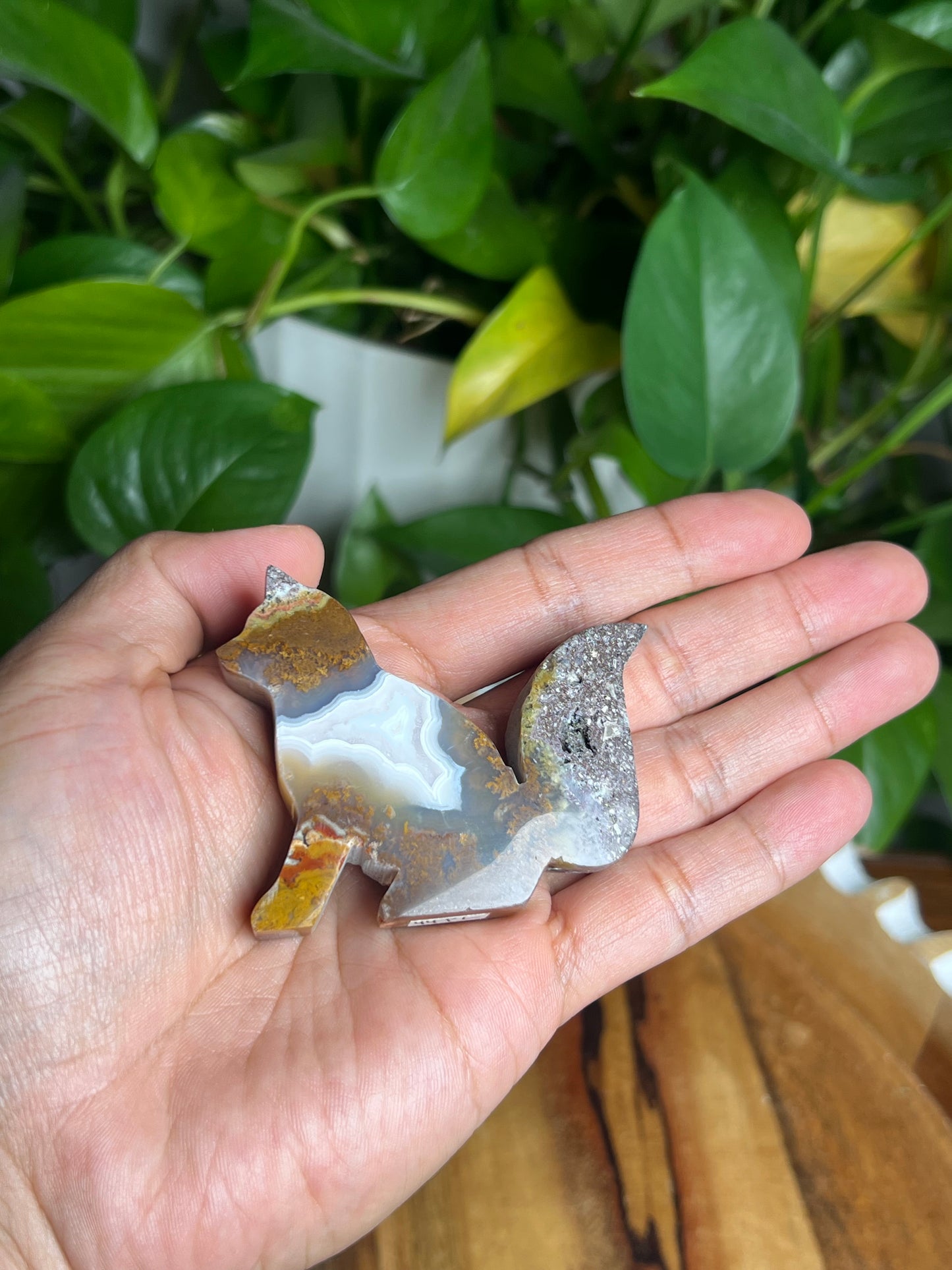 Scenic Moss Agate Fox PL