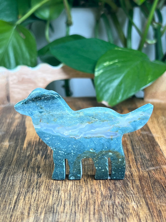 Blue Green Jasper Dog: BA