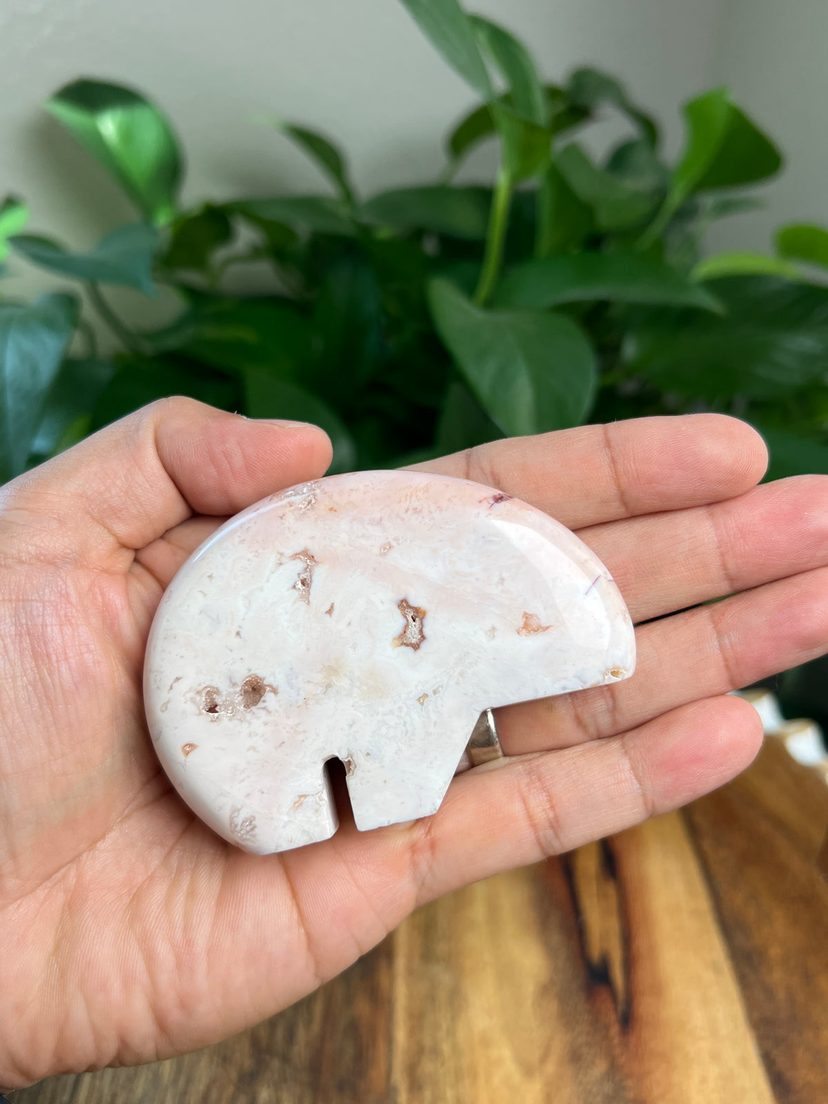 Pink Carnelian Bear: PL