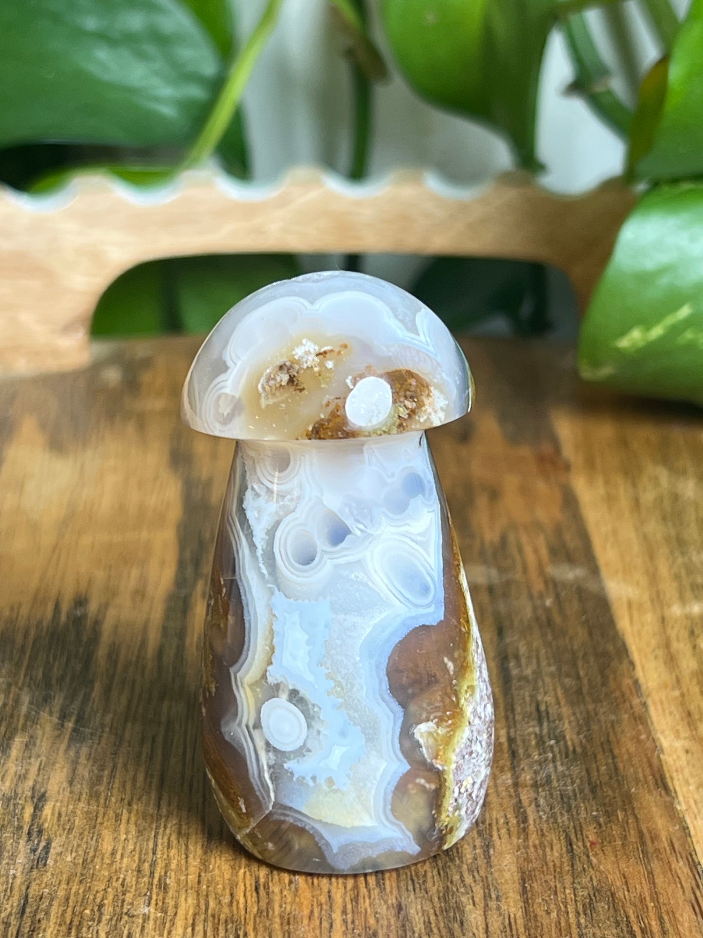 Scenic Moss Agate Mushroom