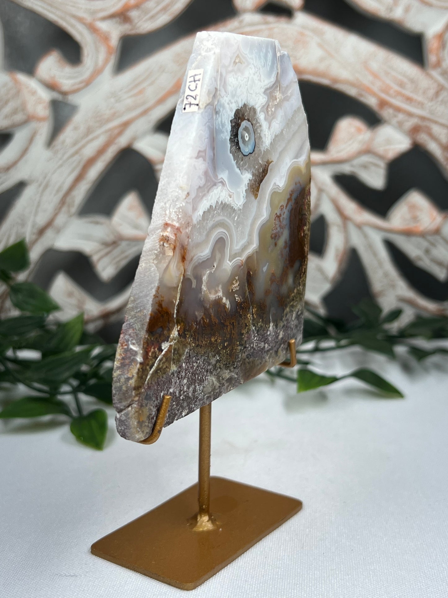 Scenic Moss Agate Slab