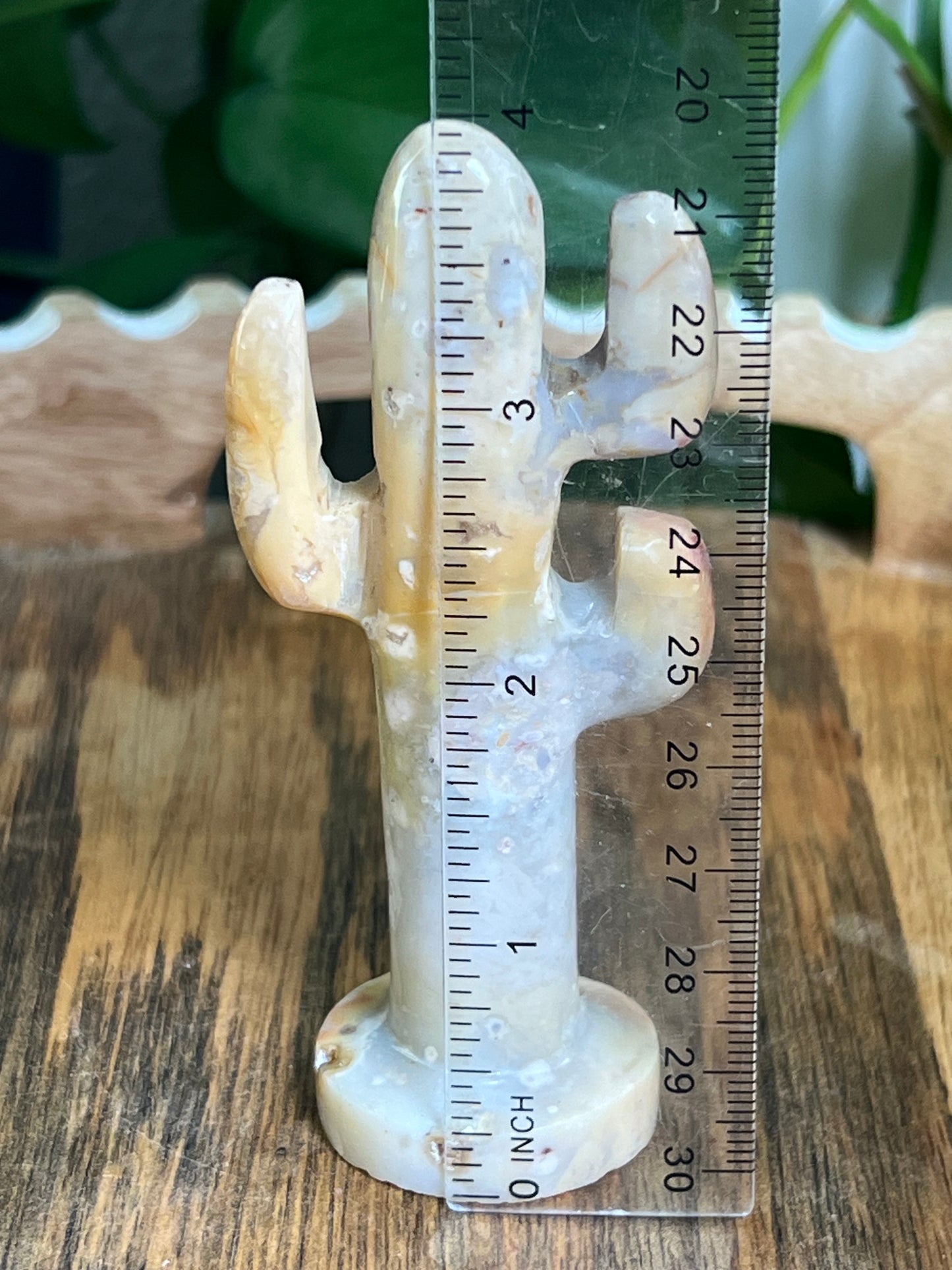 Crazy Lace Agate Cactus