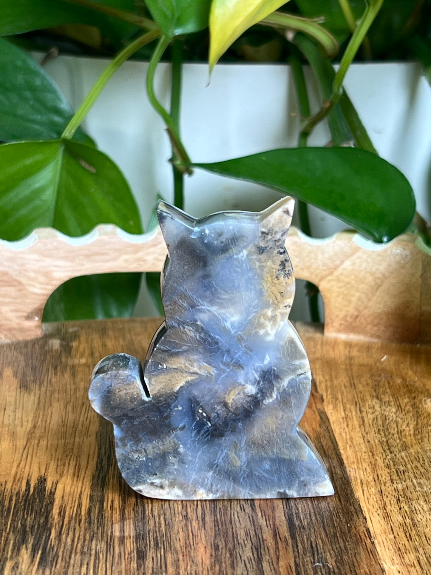 Dendritic Tiger Agate Cat AT
