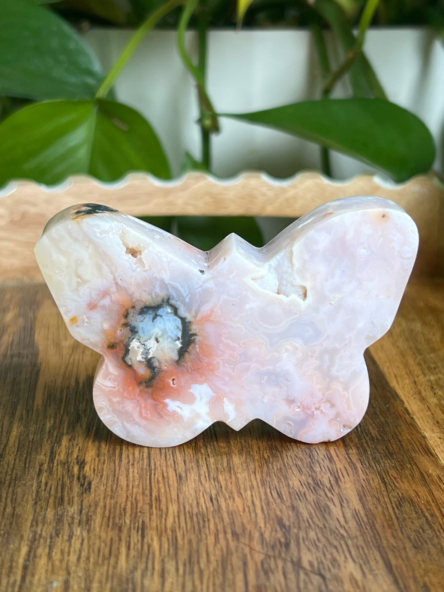 Rainbow Plume Agate Butterfly RH