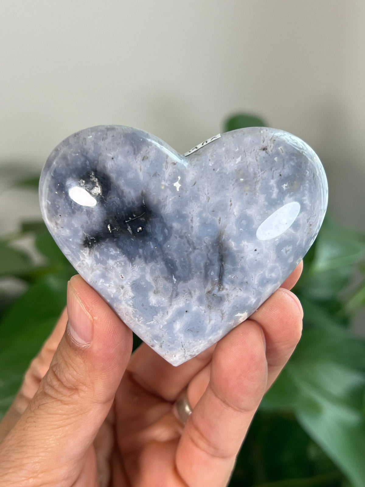 Blue Plume Agate Small Hearts