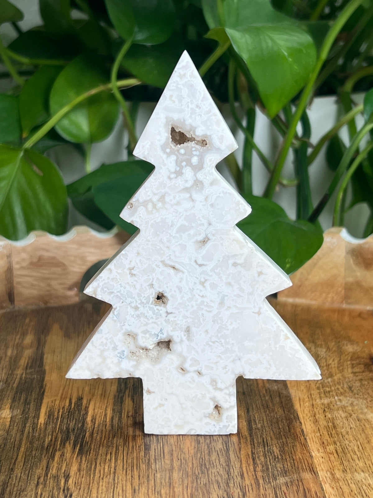 White Plume Agate Tree: CC