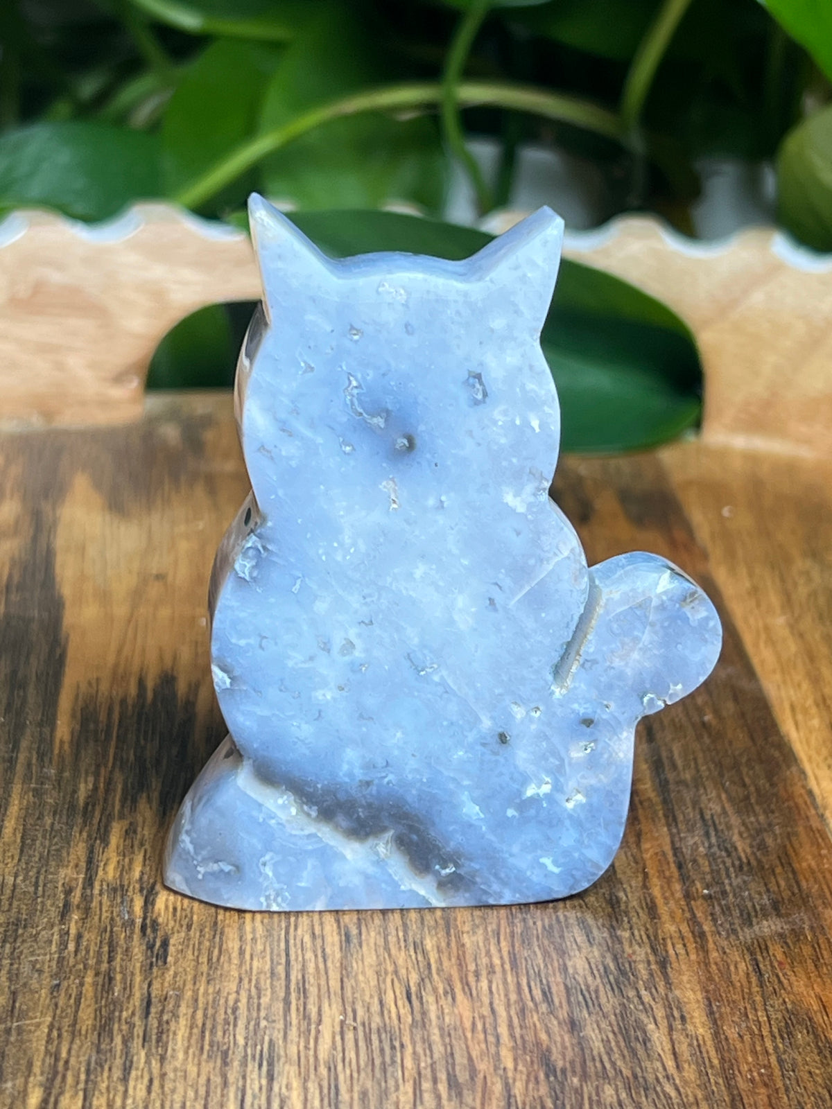 Blue Plume Agate Cat: BE