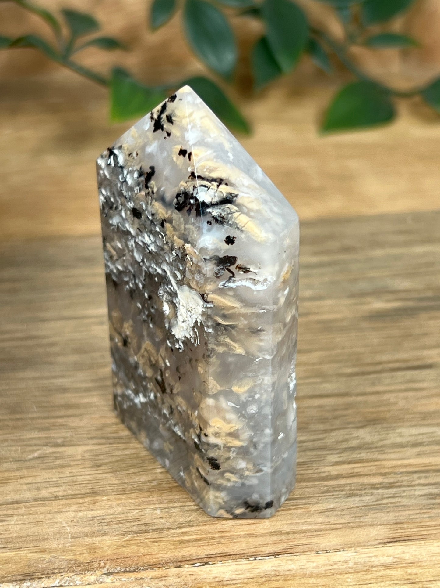 Dendritic Tiger Agate Tower