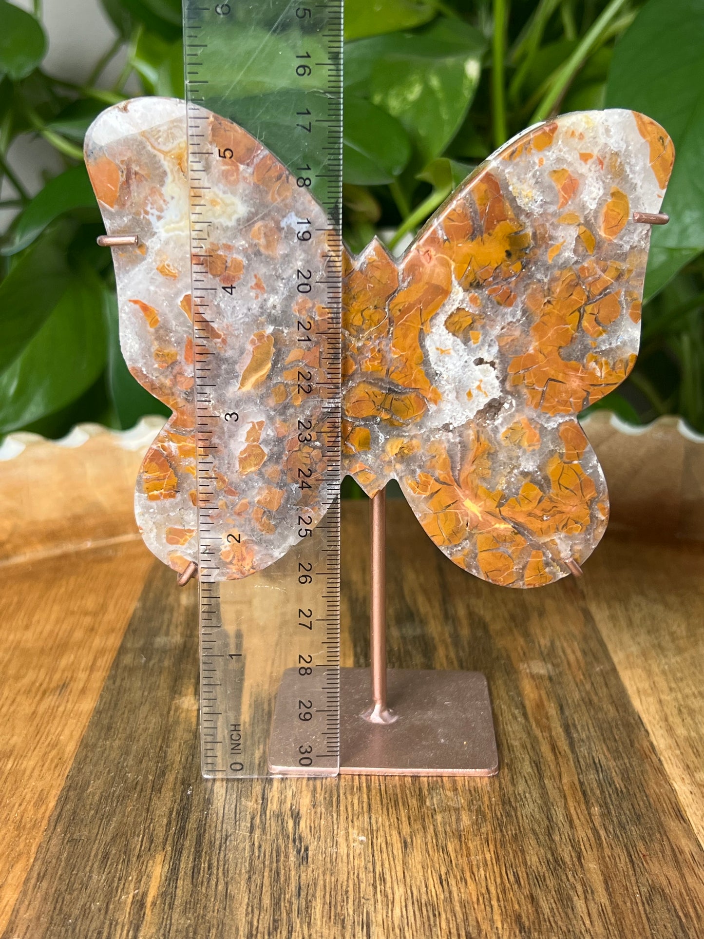 Brecciated Jasper Butterfly